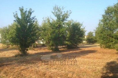 Building land for sale in a quiet area near Tar, 1045 m²