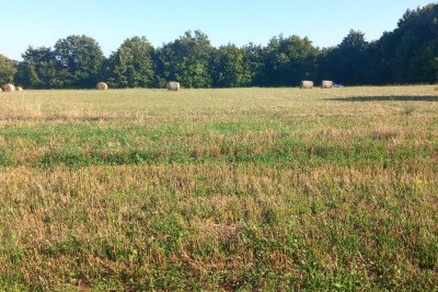 Terreni agricoli Pusti, Svetvinčenat, 8.182m2