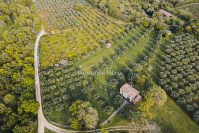 Poreč - land intended for a camp