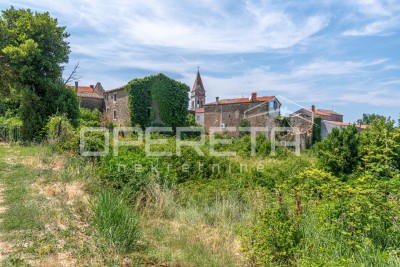Istra, Momjan-kuće za renovaciju s okućnicom