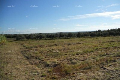 Prodajemo zemljišče 3 km od morja