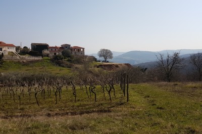 Prodaje se građevinsko zemljište površine 612 m² s prekrasnim pogledom na Motovun