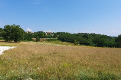 TINJAN, zazidljivo zemljišče za stanovanjsko rabo, 1059 m² + približno 1100 m² kmetijskega zemljišča, Z-644-4