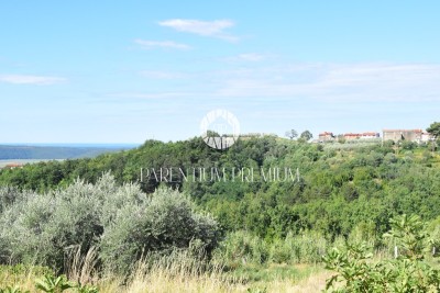 Autohtona kuća sa lijepim pogledom - za adaptaciju