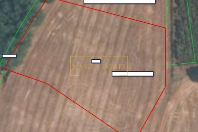 Agricultural land - Brtonigla, Lovrečica, Buje