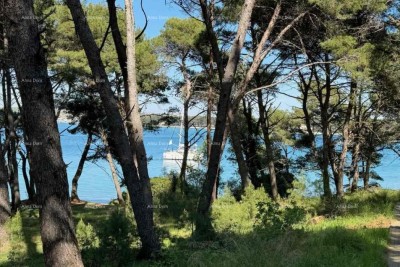 Trosobni stan subito vicino al mare, Premantura