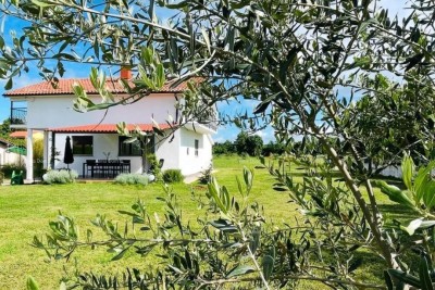 MARČANA! LOBORIKA - HUS MED OLIVTRÄD.
