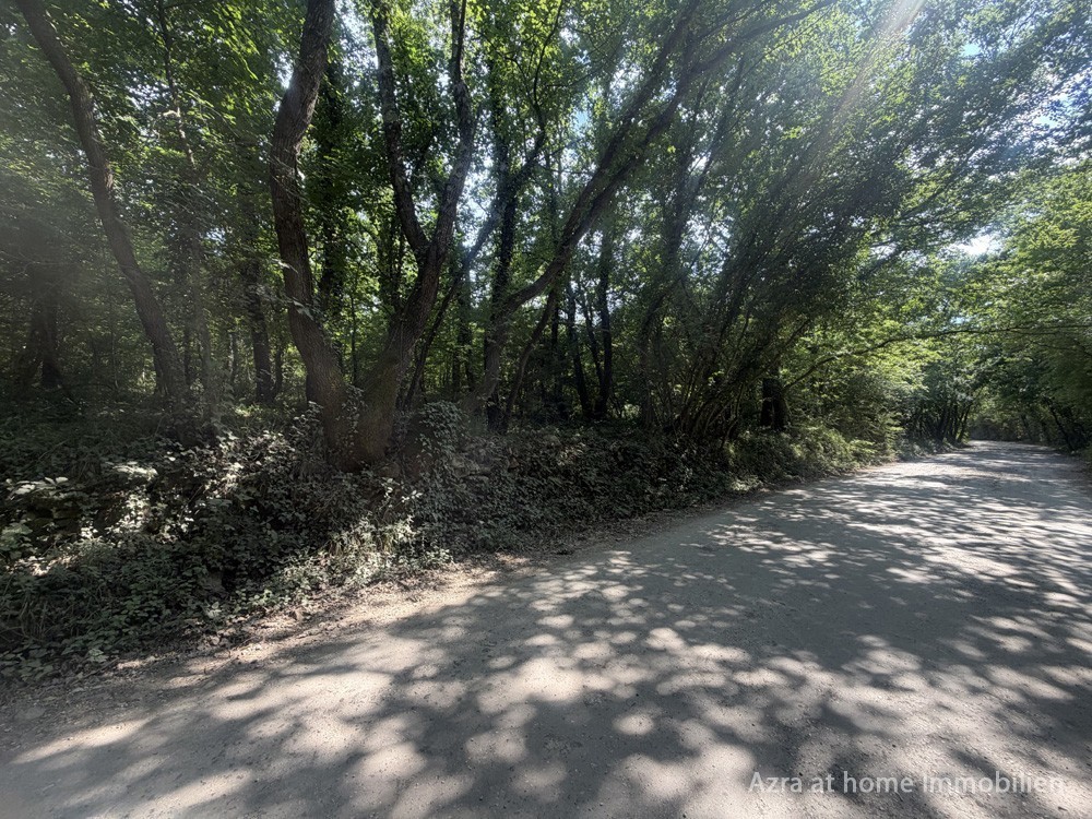 VABRIGA, an der Hauptstraße Poreč – Tar, Waldgrundstück, 5666 m²