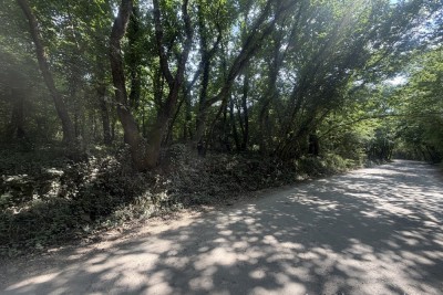 VABRIGA, an der Hauptstraße Poreč – Tar, Waldgrundstück, 5666 m²