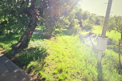 Grundstück Juricani, Umag, 4.278m2