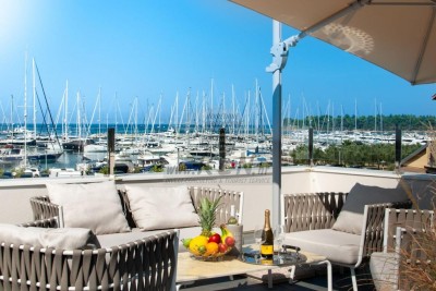 House in the center of Novigrad with a swimming pool