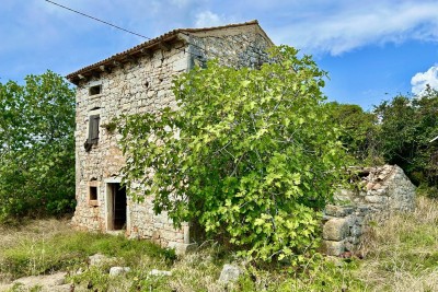 VRSAR, OKOLICA, KAMENA KUĆA ZA RENOVACIJU NA ODLIČNOJ LOKACIJI