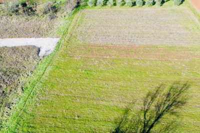 POREČ, OKOLICA 8 KM, GRAĐEVINSKO ZEMLJIŠTE SA PUNO POTENCIJALA