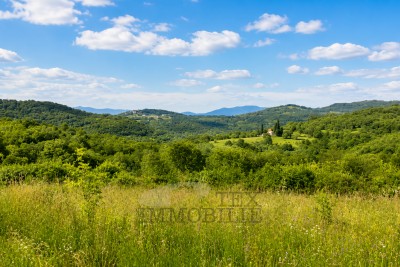 Kompleks od tri građevinska zemljišta s građevinskim dozvolama – Motovun