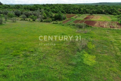Prodaja, Kuća, Samostojeća, Istarska županija, Rovinj