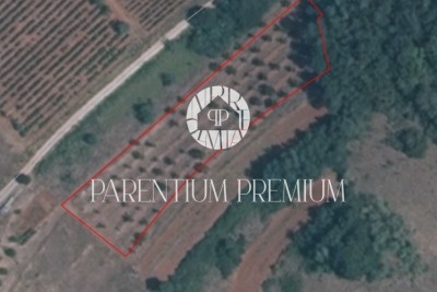 Urbanized plot in a quiet location