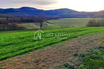 Motovun-surroundings, Valuable building land with a view of Motovun