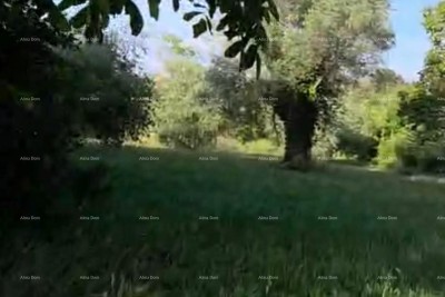 Prodaja stancije na top lokaciji, Rovinj! - Zgrada mješovite namjene s velikim imanjem na kojem se može graditi zgrada s 9 stambenih jedinica..