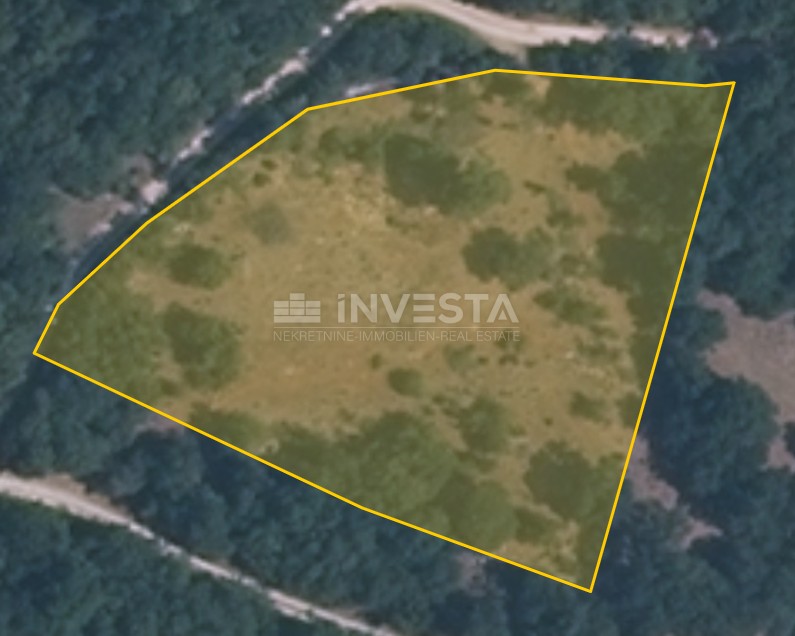 Landwirtschaftlich-forstwirtschaftliches Land (LF) am Veli Vrh