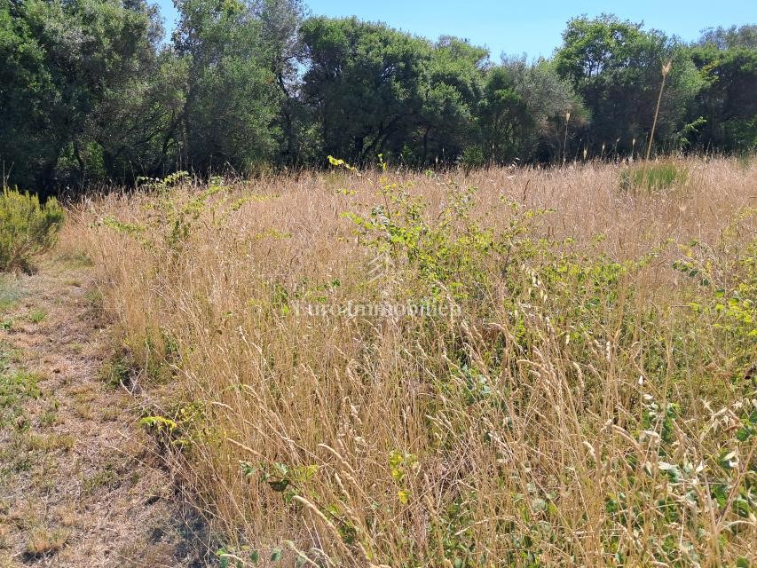 605 m² Landwirtschaftsgrundstück mit Wasser – Umgebung von Pula