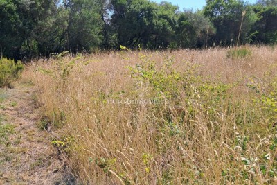 605 m² Landwirtschaftsgrundstück mit Wasser – Umgebung von Pula