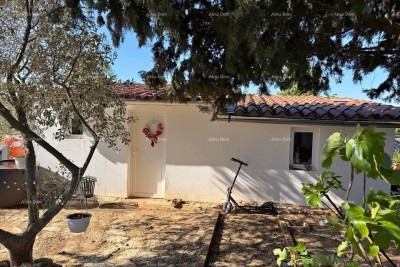 Vodnjan, Prizemnica s okućnicom