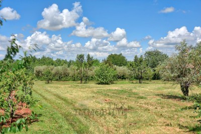 Kaštelir - Baugrundstück für den Bau einer Villa