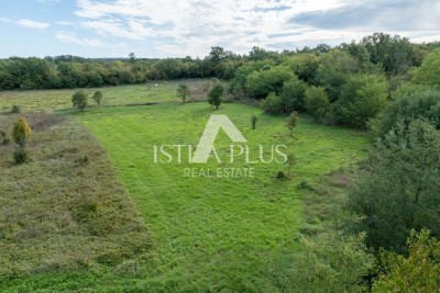 Istria, Poreč 4527 m2 agricultural land - Istria