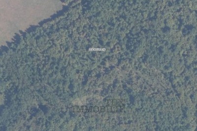 Land Poreč, 80000m2