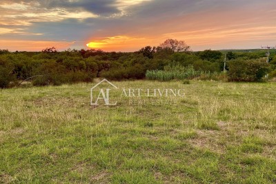 Umag-surroundings, beautiful agricultural land 1000 m2