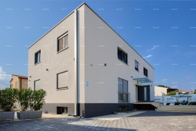 Haus