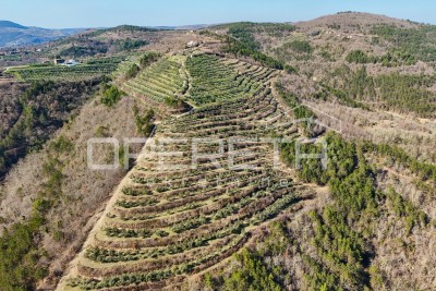 Veliko imanje od 170 000 m2 s predivnim pogledom