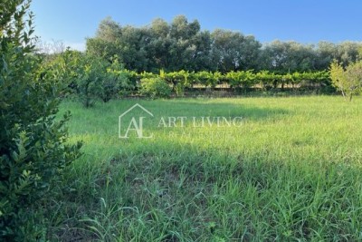 Umag - surroundings, attractive building plot 400 meters from the sea.