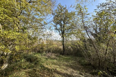 Istria, Buje, dintorni - terreno agricolo di 20.000 m² con una struttura delimitata.