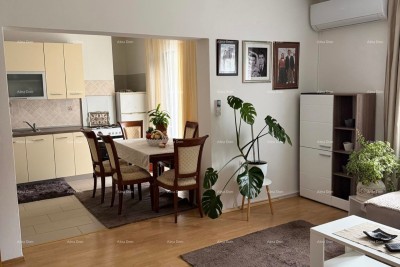 House Labin