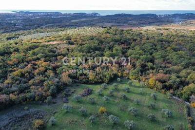 Prodaja, Zemljište, Poljoprivredna površina, Istarska županija, Rovinj