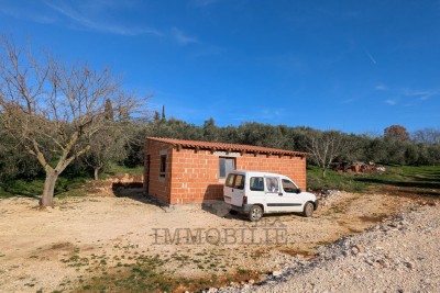Poljoprivredno zemljište u Poreču – 7.000 m² s maslinikom i gospodarskim objektom