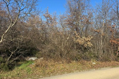 POREČ, PRODAJE SE GRAĐEVINSKO ZEMLJIŠTE U KOMBINACIJI S VELIKIM POLJOPRIVREDNIM ZEMLJIŠTEM