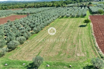 Prostorno gradbeno zemljišče za izgradnjo 23 stanovanj, 5 km od morja