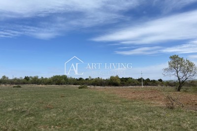 Umag-surroundings, valuable agricultural land 21,000 m2