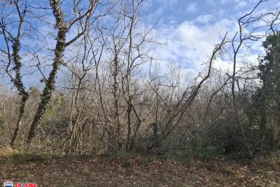 Building land Labin, 3.490m2