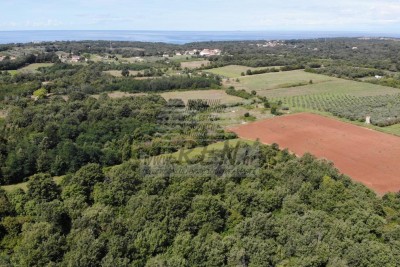 Large agricultural land near Umag