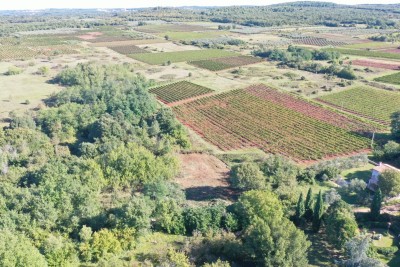 Grundstück Bačva, Višnjan, 627m2