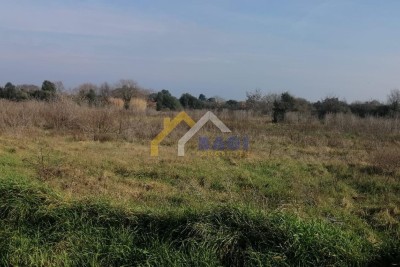 ISTRIA-ŠIŠAN Ackerland