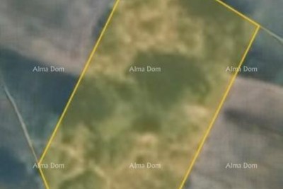 Baugrundstück – Vrh, Kaštel, Buje