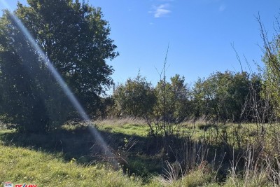 Building land Labin, 700m2