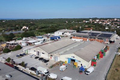 Capannone commerciale (2.989 m²) con ampio terreno a Umago