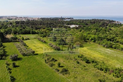 Building land for touristic purposes near the sea