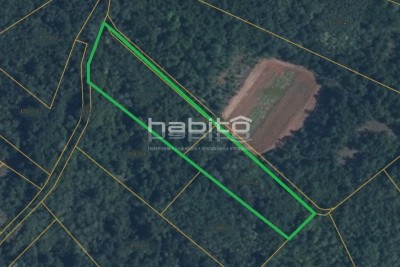 Umgebung Visnjan - Landwirtschaftliche Fläche am Rande der Siedlung