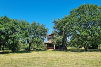 Poreč, surroundings - property with stone house